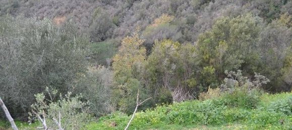 28400m² Land in Pollica, Italy No. 133946 8