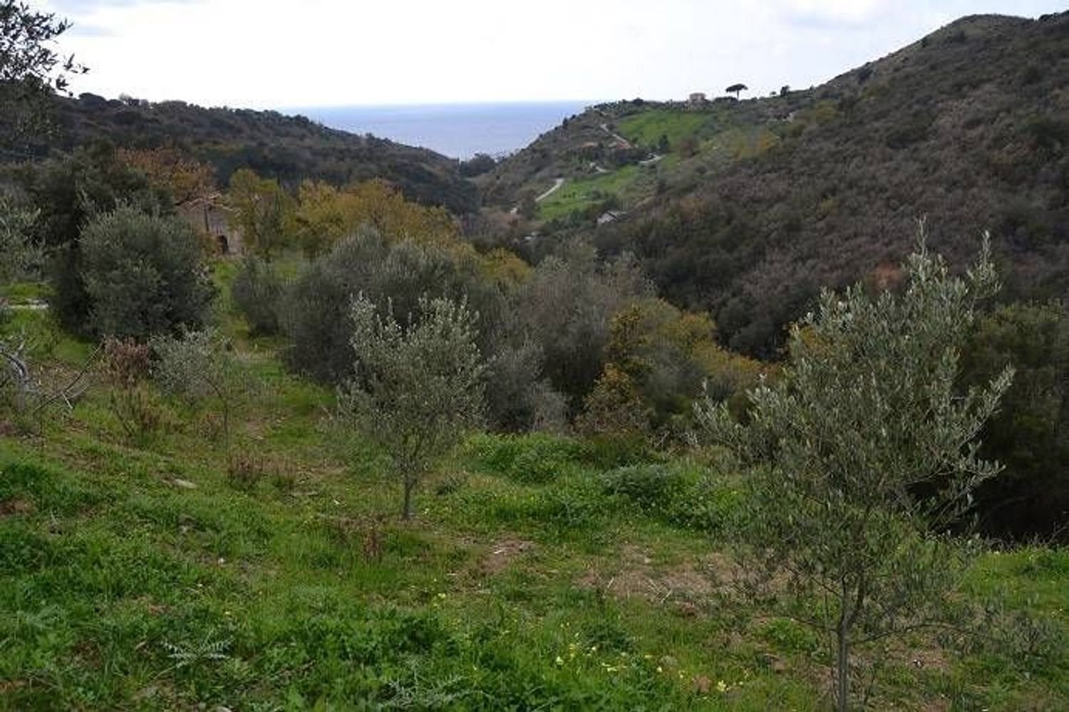 28400m² Land in Pollica, Italy No. 133946