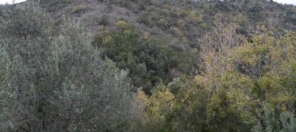 28400m² Land in Pollica, Italy No. 133946 6