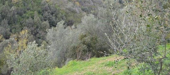 28400m² Land in Pollica, Italy No. 133946 3