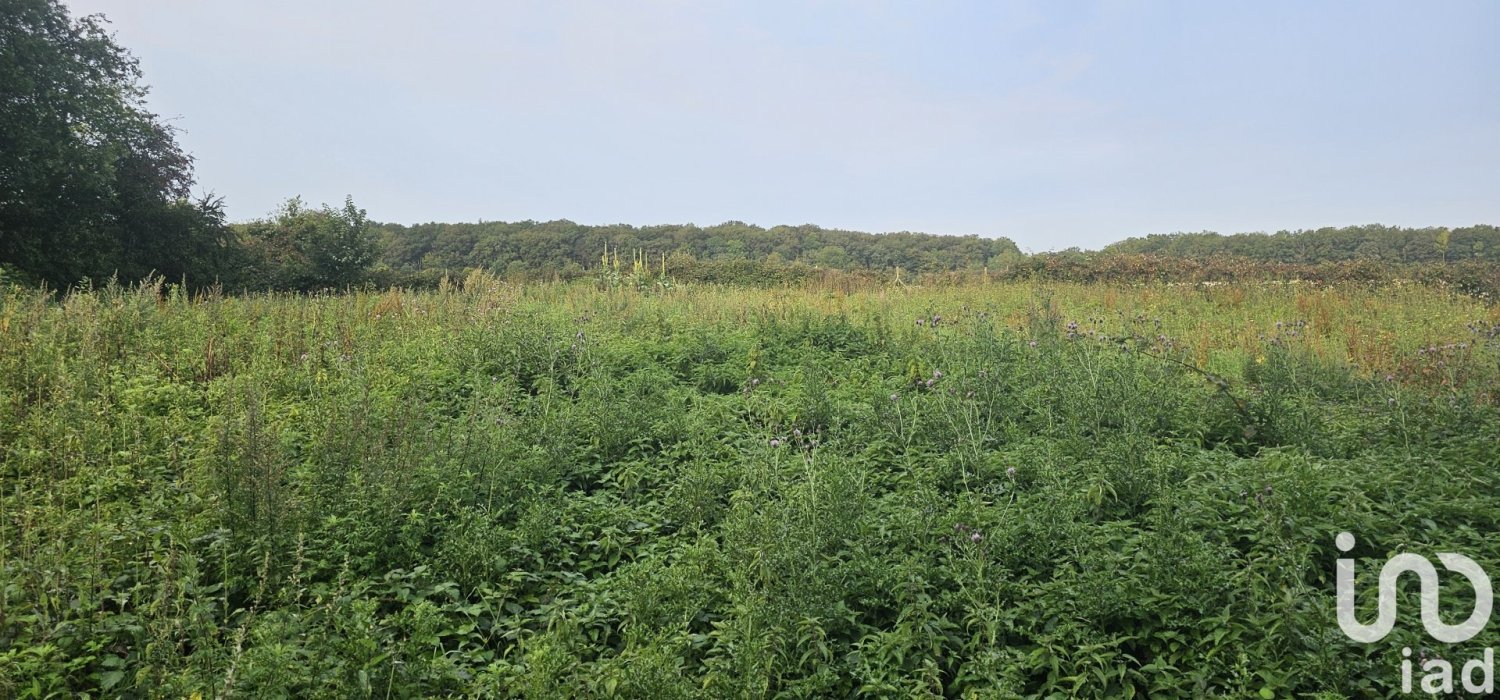 Terrain à Rohaire, France No. 42802