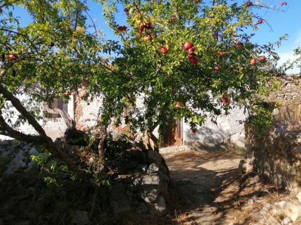 Terreno en Olhao, Portugal 91 m² No. 159152