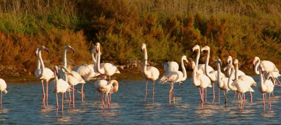 Terreno en Olhao, Portugal 91 m² No. 159152 13