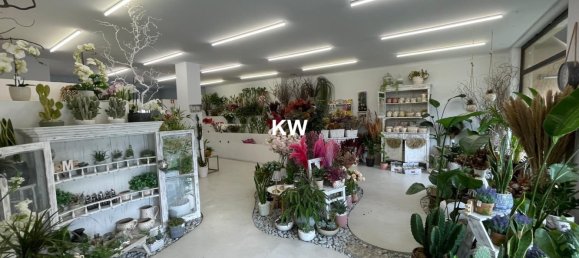 Lagerhaus in Porto, Portugal 374m², Nr. 40804 19