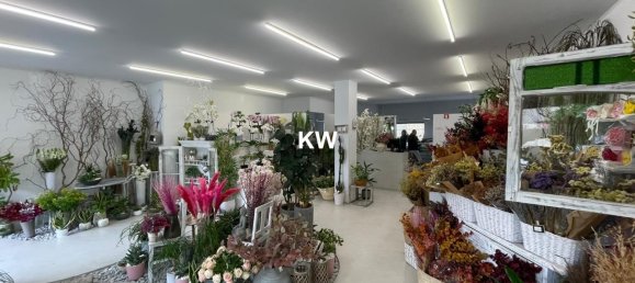 Lagerhaus in Porto, Portugal 374m², Nr. 40804 3