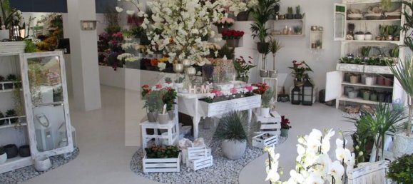 Lagerhaus in Porto, Portugal 374m², Nr. 40804 4