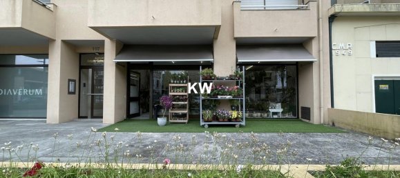 Lagerhaus in Porto, Portugal 374m², Nr. 40804 2