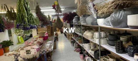 Lagerhaus in Porto, Portugal 374m², Nr. 40804 14