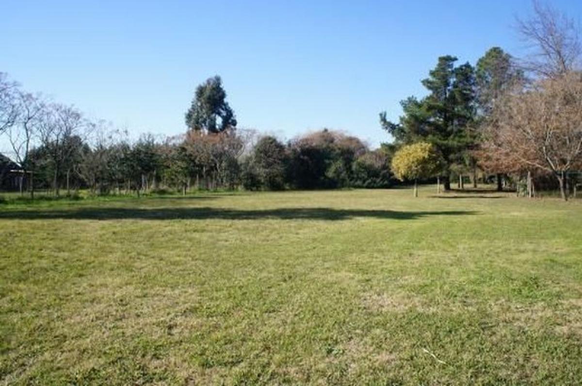  Commercial property in Escobar, Argentina No. 25822