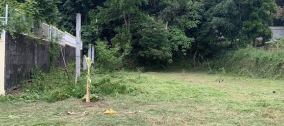 عقار تجاري في Chalong, Thailand رقم 24098 7