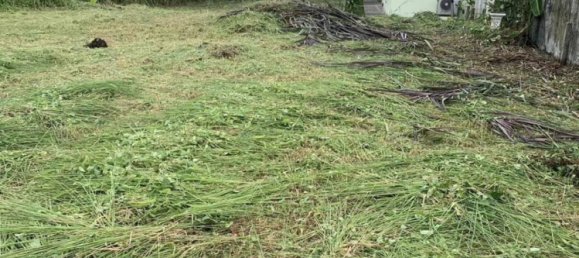 عقار تجاري في Chalong, Thailand رقم 24098 6