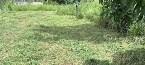 عقار تجاري في Chalong, Thailand رقم 24098 3