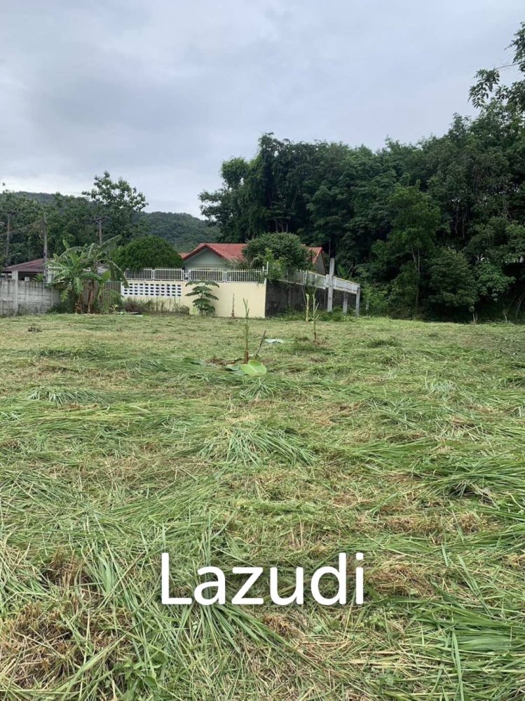  عقار تجاري في Chalong, Thailand رقم 24098