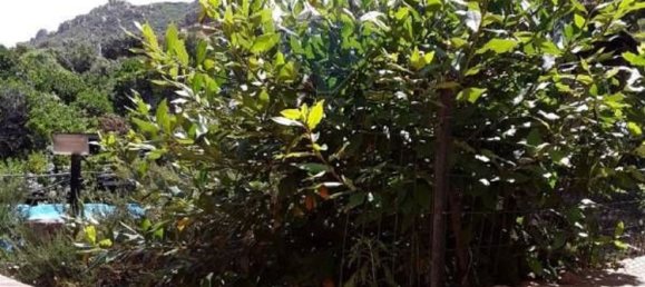 9غرفة فيلا في Trinità d'Agultu e Vignola, Italy رقم 215603 14