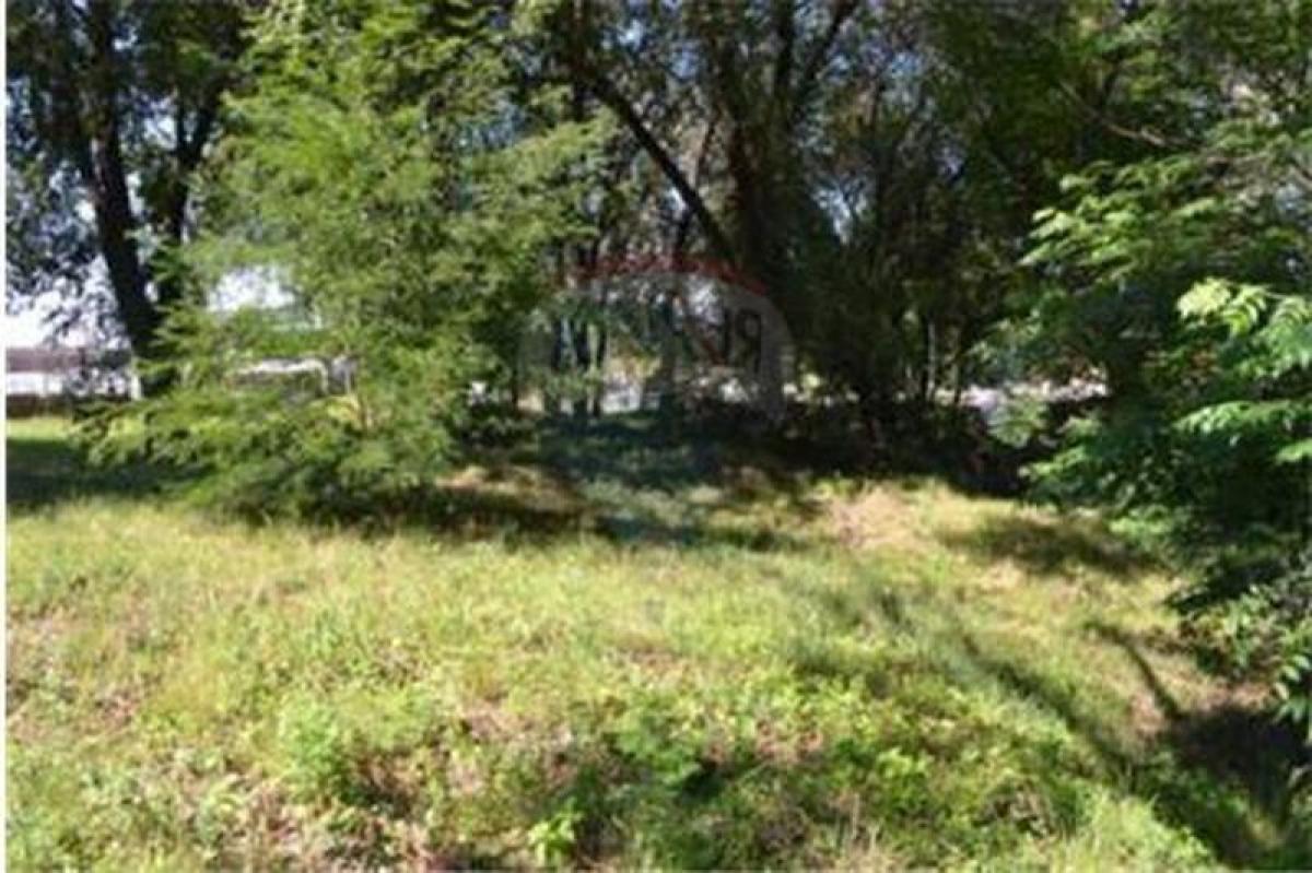  Land in Cordoba, Argentina No. 32562