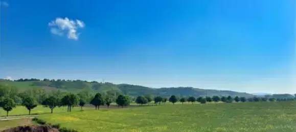 Grundstück in Bad Kreuznach, Germany, Nr. 132028 2