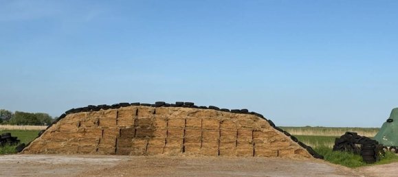 3 bedrooms Farm in Nordfriesland, Germany No. 244084 20