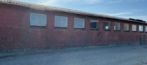 3 bedrooms Farm in Nordfriesland, Germany No. 244084 12