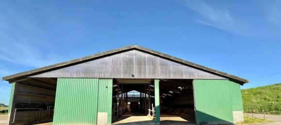 3 bedrooms Farm in Nordfriesland, Germany No. 244084 18