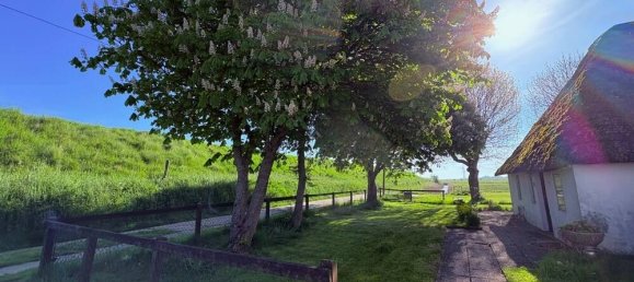 3 bedrooms Farm in Nordfriesland, Germany No. 244084 6