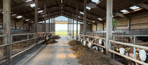 3 bedrooms Farm in Nordfriesland, Germany No. 244084 4