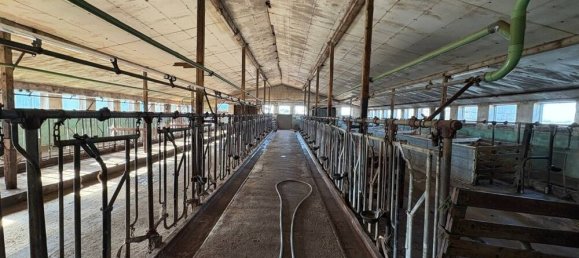 3 bedrooms Farm in Nordfriesland, Germany No. 244084 11