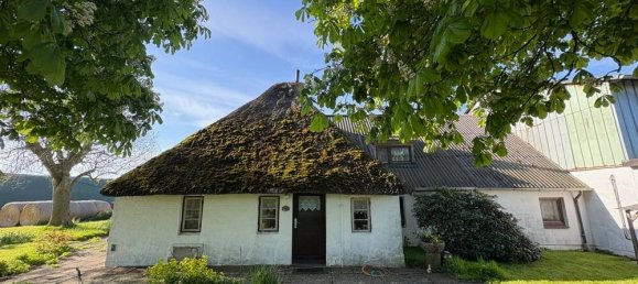 3 bedrooms Farm in Nordfriesland, Germany No. 244084 2