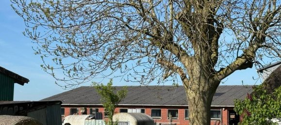 3 bedrooms Farm in Nordfriesland, Germany No. 244084 13