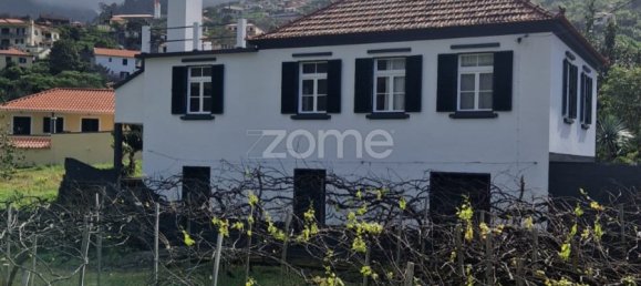 4 bedrooms House in Sao Vicente, Portugal No. 195272 8