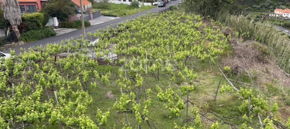 4 bedrooms House in Sao Vicente, Portugal No. 195272 13