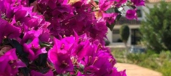 3 bedrooms Apartment in Finestrat, Spain No. 13095 30