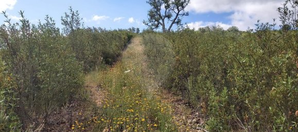 Casa T9 em Santana da Serra, Portugal N.º 50172 7