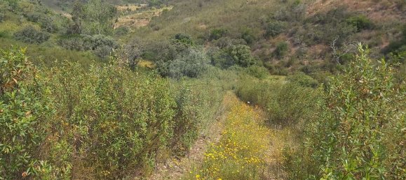 Casa T9 em Santana da Serra, Portugal N.º 50172 8