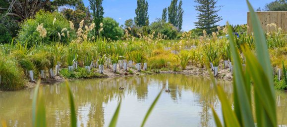 4 bedrooms House in Paraparaumu, New Zealand No. 132 23