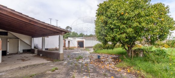Casa de 3 dormitorios en Cernache, Portugal No. 18664 6