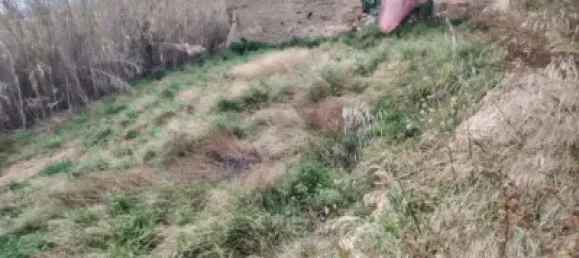 Grundstück in Zaragoza, Spain, Nr. 145674 14