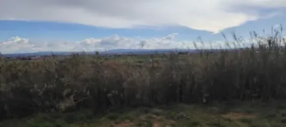 Grundstück in Zaragoza, Spain, Nr. 145674 5