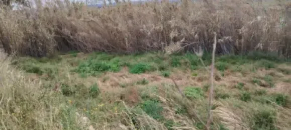 Grundstück in Zaragoza, Spain, Nr. 145674 12