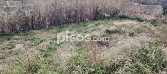 Grundstück in Zaragoza, Spain, Nr. 145674 36