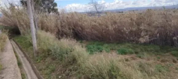 Grundstück in Zaragoza, Spain, Nr. 145674 3