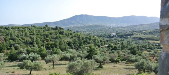 5 غرف نوم عقار تجاري في Keratea, Greece رقم 6180 25