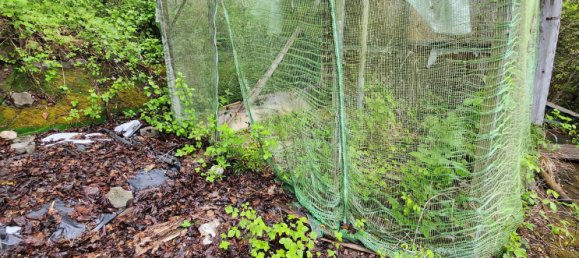 Terreno en Freudenstadt, Germany No. 3781 11