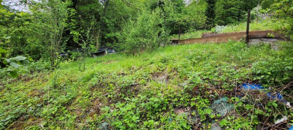 Terreno en Freudenstadt, Germany No. 3781 6