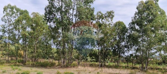 Земельный участок с 1 комнатой в Минтурно, Италия № 159779 4