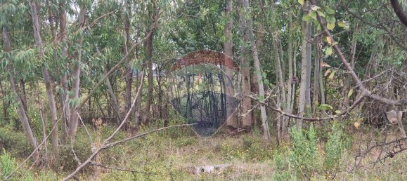 Земельный участок с 1 комнатой в Минтурно, Италия № 159779 7