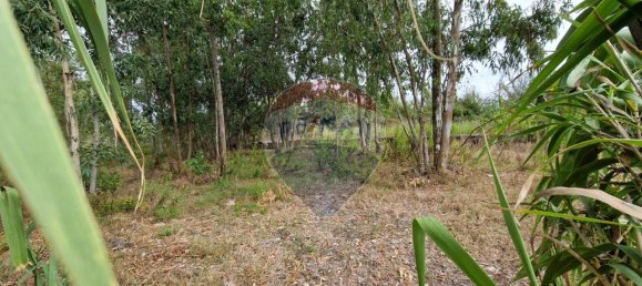 Земельный участок с 1 комнатой в Минтурно, Италия № 159779 6