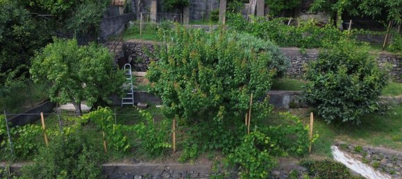 2 rooms House in Santa Venerina, Italy No. 263914 22