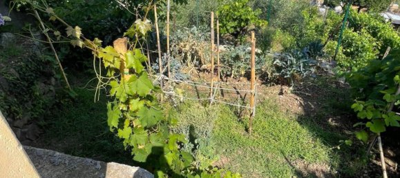 2 rooms House in Santa Venerina, Italy No. 263914 21