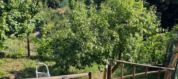 2 rooms House in Santa Venerina, Italy No. 263914 23