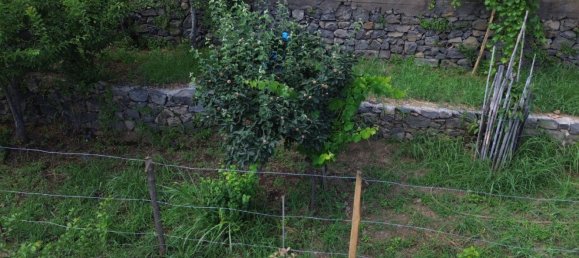 2 rooms House in Santa Venerina, Italy No. 263914 24